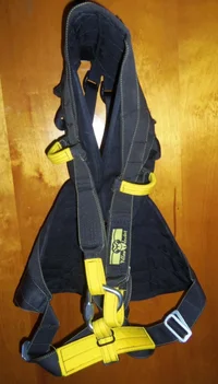 NewTribe-YellowJacket.webp NewTribe-YellowJacket.webp