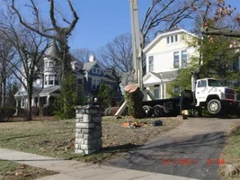 11312_482851508439595_1396465083_n (1).webp