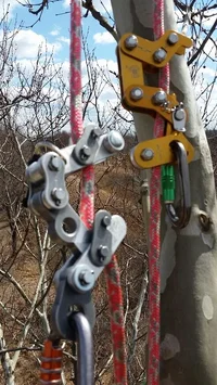 2015-04-04 12.36.38.webp