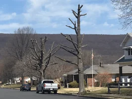 Screen Shot 2015-04-10 at 1.25.06 PM.webp