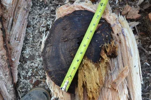 DSC_0084.webp DSC_0084.webp