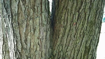 20150411_112626.webp 20150411_112626.webp