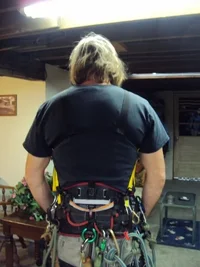 DSC00317 (480x640).webp