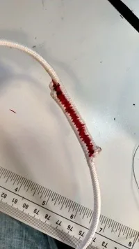 BungeeSewn (Small).webp