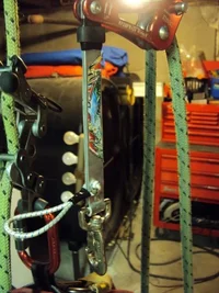 DSC00334 (480x640).webp