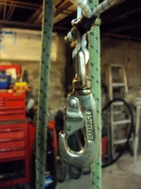 DSC00335 (480x640).webp