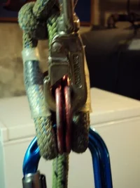 DSC00336 (480x640).webp