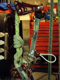 DSC00337 (480x640).webp