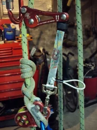 DSC00338 (480x640).webp