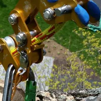 2015-05-30 16.39.46.webp