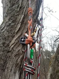 2014-01-21 15.45.45.webp