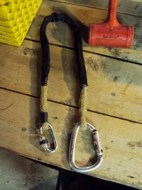 DSC00377 (480x640).webp