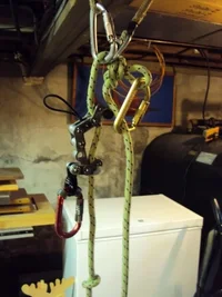 DSC00379 (480x640).webp