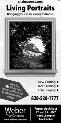 Screen Shot 2015-07-04 at 10.46.39 AM.webp