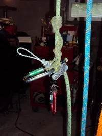 DSC00383 (480x640).webp