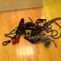 image.webp image.webp