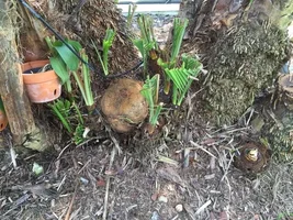 IMG_4498.webp IMG_4498.webp