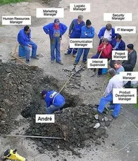 image.webp image.webp