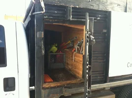 12.01.14 pictures 148.webp