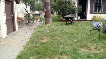 Ditillio Trunk .webp