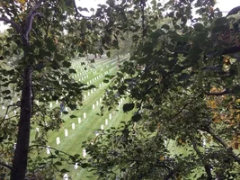 'Saluting Branches' Fort Snelling (4).webp