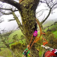 IMG_0967.webp IMG_0967.webp