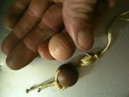 IMG_0977.webp IMG_0977.webp