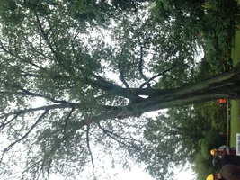 image.webp image.webp