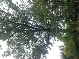 image.webp image.webp