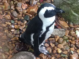 image.webp image.webp