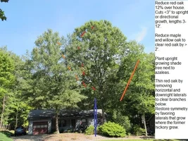 front full small.webp