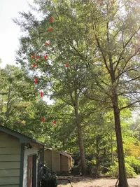 side full small.webp