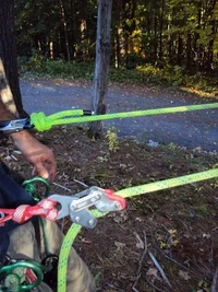 DSC00432 (480x640).webp