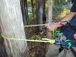 DSC00435 (640x480).webp