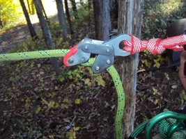 DSC00436 (640x480).webp