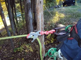 DSC00437 (640x480).webp