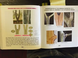 Billede 08-08-15 08.10.59.webp