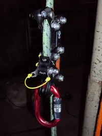 DSC00387 (480x640).webp