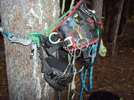 DSC00442 (640x480).webp