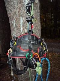 DSC00443 (480x640).webp