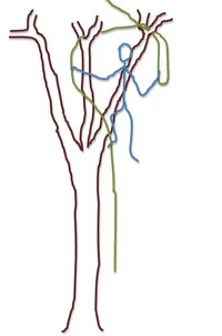 Screen Shot 2015-10-20 at 6.32.03 PM.webp