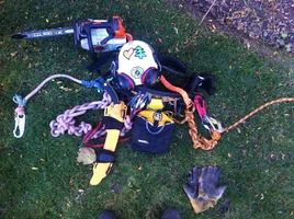 image.webp image.webp