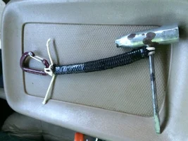 image.webp image.webp