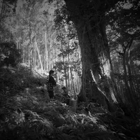 pws20151103 - 4.webp