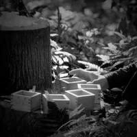 pws20151103 - 5.webp