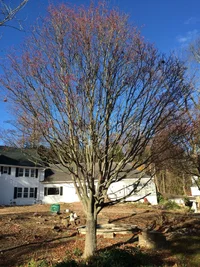 Photo Nov 23, 1 59 52 PM.webp