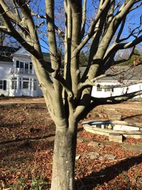 Photo Nov 23, 2 00 27 PM.webp