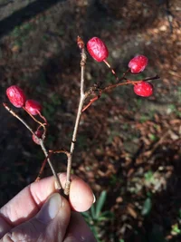 Photo Nov 23, 2 01 18 PM.webp