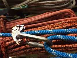 IMG_7992.webp IMG_7992.webp