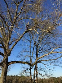 Reaching so. red.webp